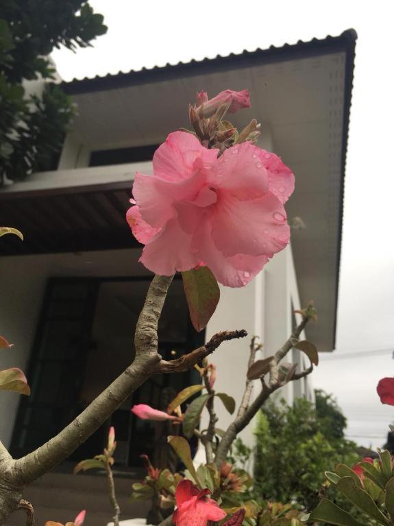 Baan Nan B&B Hotel Buitenkant foto